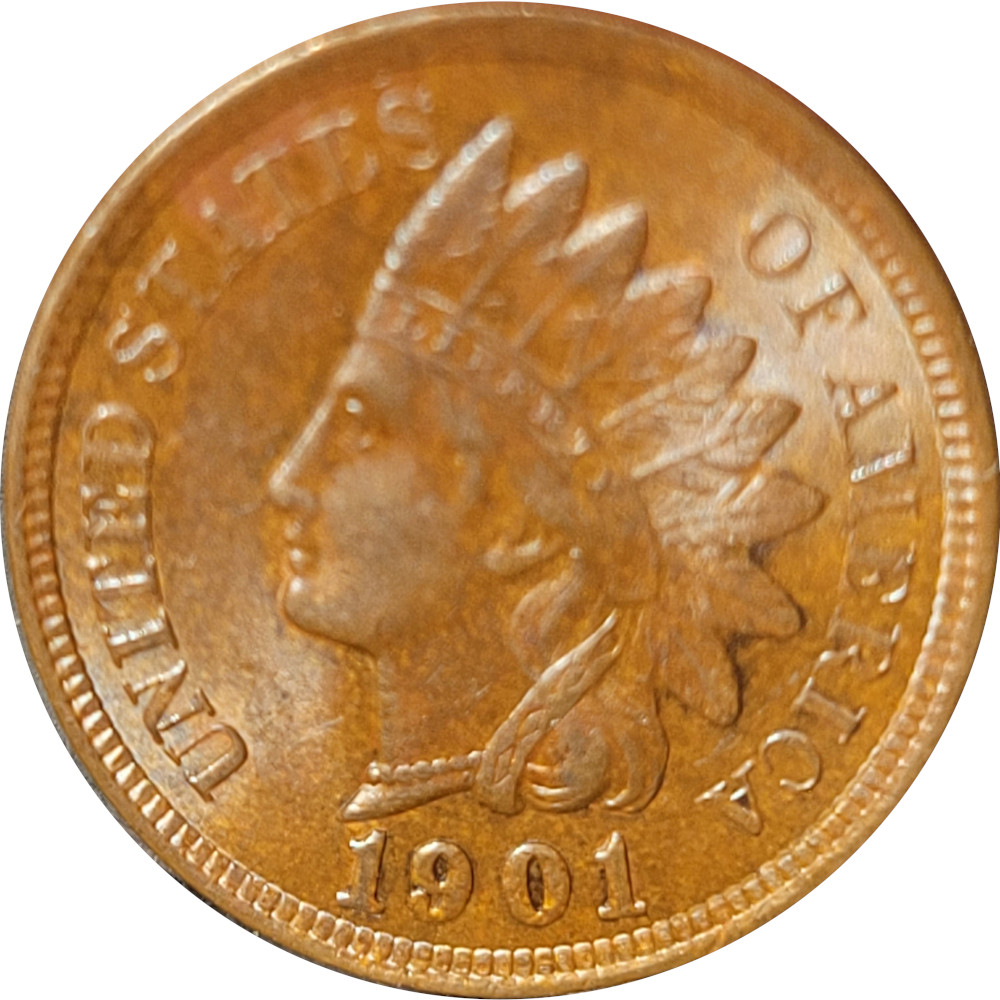 1901-1c-Indian-Head-Cent-#6